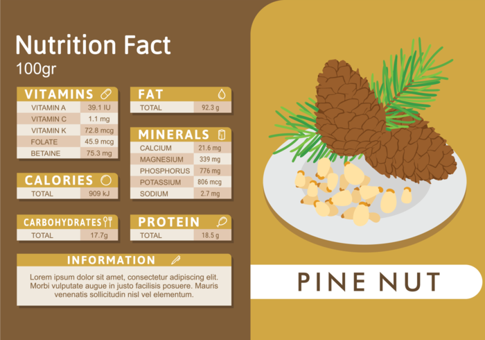 Health Benefits Of Pine Nuts – Nomin Gal